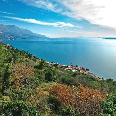 Anči 4*