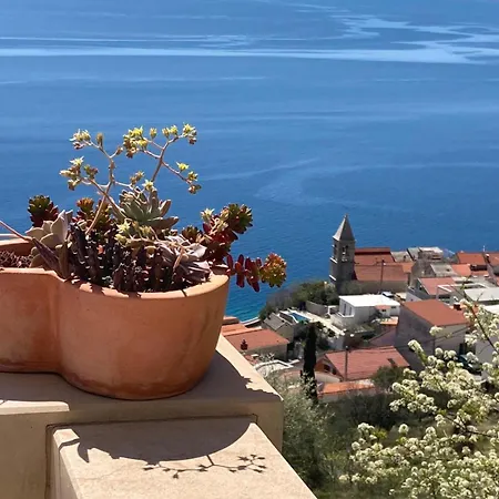 Anči 4* Pisak