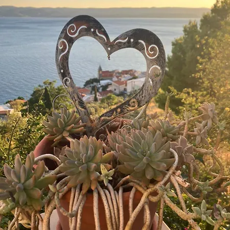 Anči Aparthotel 4*