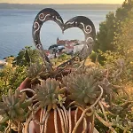 Anci Appart hôtel 4*
