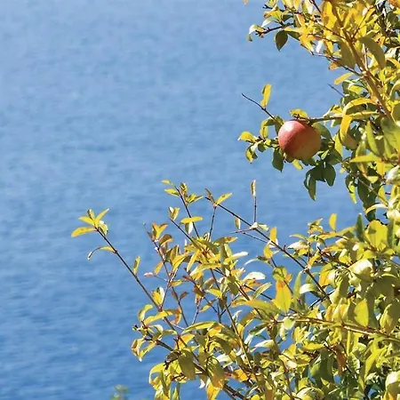 Lägenhetshotell Anci 4*