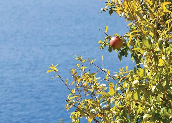 Ξενοδοχείο με διαμερίσματα Anci 4*
